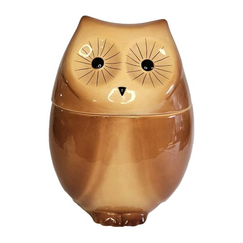 American retro owl cookie - retro, jar