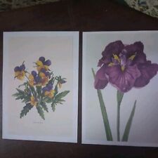 Lotto 2 Stampe Fiori