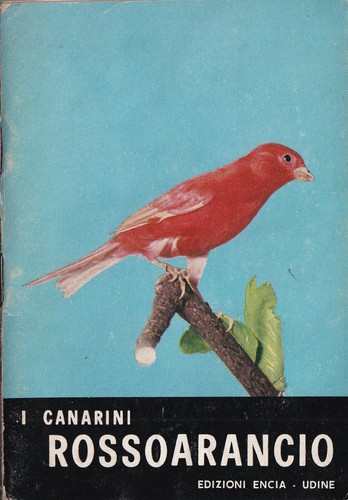 Canarini rossoarancio - i,
