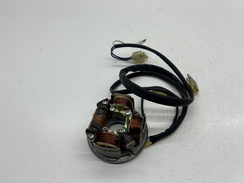 Statore alternatore magnete - alternatore,