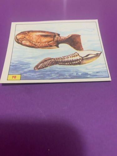 Figurina animali - figurina, n.70