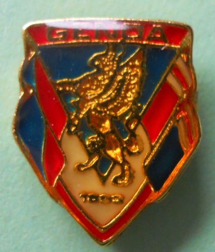 Distintivo spilla pin badge - distintivo,