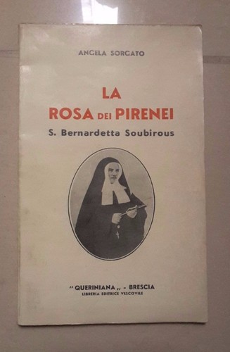 Rosa dei pirenei sorgato - dei, s