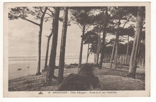 Cpa arcachon côte - -,