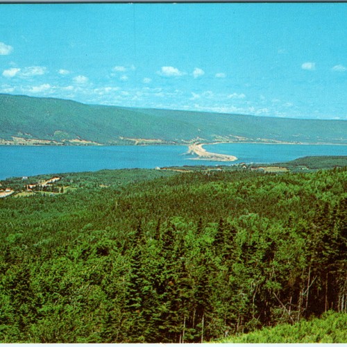 C1960s englishtown ann s - st, ann's