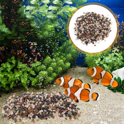 Ghiaia per acquario - ,