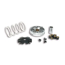 Variatore Malossi MULTIVAR per