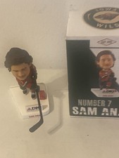 Sam Anas #7 Iowa Wild 2013