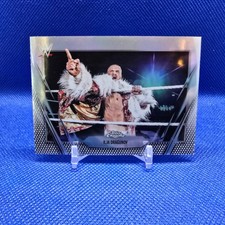 2026 Topps Chrome WWE Ilja