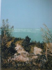 Litografia di Giancarlo