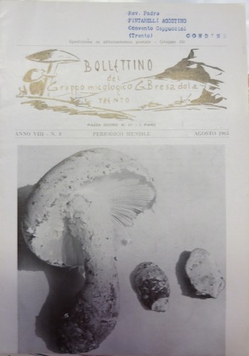 Bollettino del gruppo - bollettino,