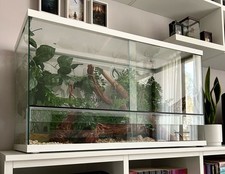 terrario per rettili bianco in vetro 