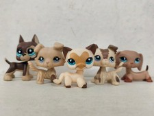 5 pezzi/lotto Littlest Pet