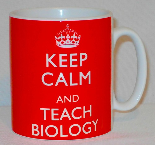 Tazza mantieni calma e - mantieni, la