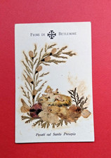 1030) SANTINO FIORI DI BETLEMME POSATI SUL SANTO PRESEPIO.