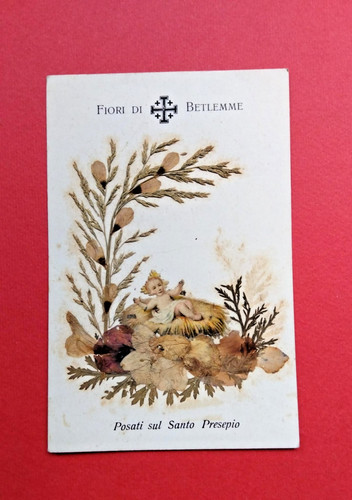 1030 santino fiori - fiori, di