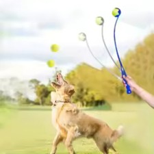 Nuovo Lancia Palline da Tennis
