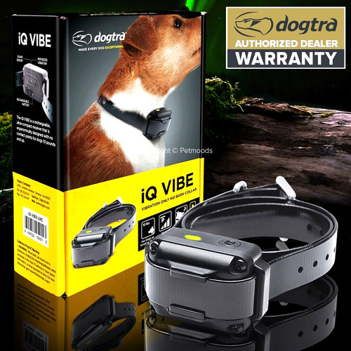 Dogtra vibe solo - iq,