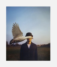  Simon McCheung Untitled Goose photo print by Society6