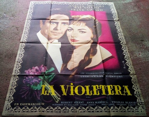 Violetera sarita - violetera,