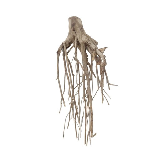 Radice acquario decorazione - radice,
