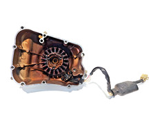 STATORE MAGNETE + CARTER