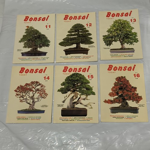 Vintage bonsai today - bonsai, magazine