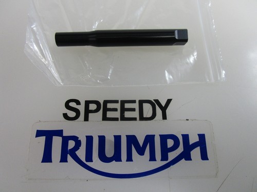 Triumph daytona 675 - daytona, street