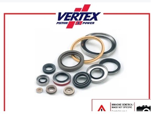 Kit paraoli motore - 250, sx