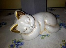 THUN GATTO BIANCO DISTESO