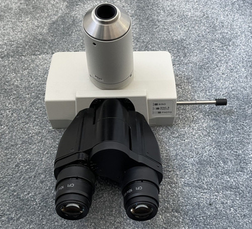 Nikon microscopio testa
