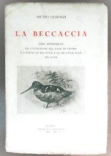 GERONZI " La Beccaccia " 1° Ediz. 1937 - Caccia Beccacce Cane da ferma Ceresoli