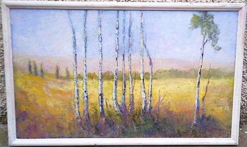 Pietro pirina campo di - il,
