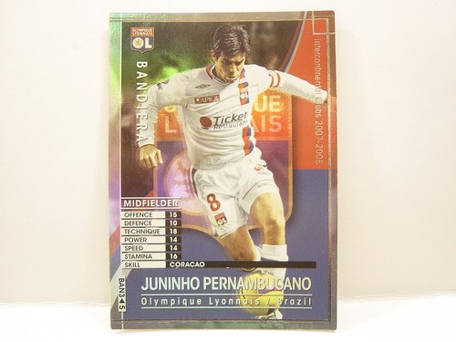 Panini wccf 2007 - panini, ban