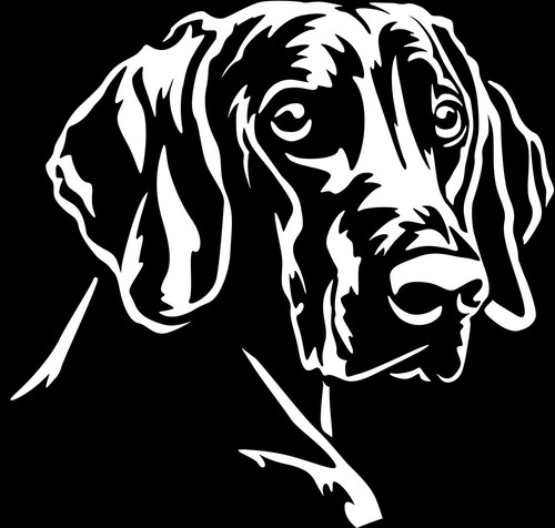 Adesivo weimaraner - weimaraner,