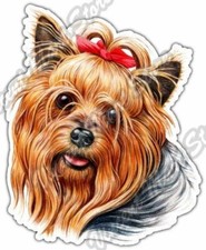 Yorkshire Terrier Yorkie Maltese Dog Pet Car Bumper Vinyl Sticker Decal 4"X5"