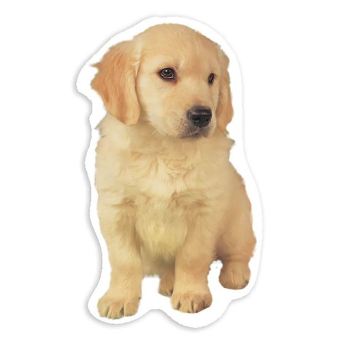 Adesivo regalo golden - regalo:,