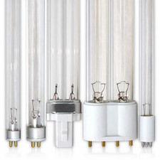 Lampadina per oasi lampada - lampadina,