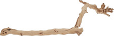 PT-3077 Legno Della Foresta Large 60CM Ramo per Terrario