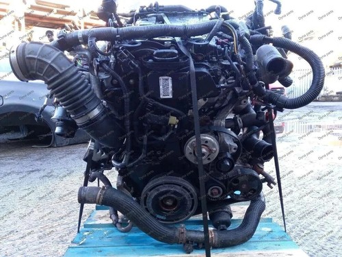 Motore nissan navara - motore,