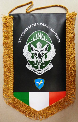 Gagliardetto compagnia - gagliardetto,