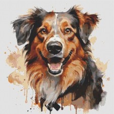 Pastore australiano cucciolo