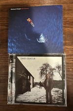 RICHARD WRIGHT WET DREAM/DAVID