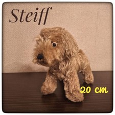 Cane Raudi bassotto grigio 20