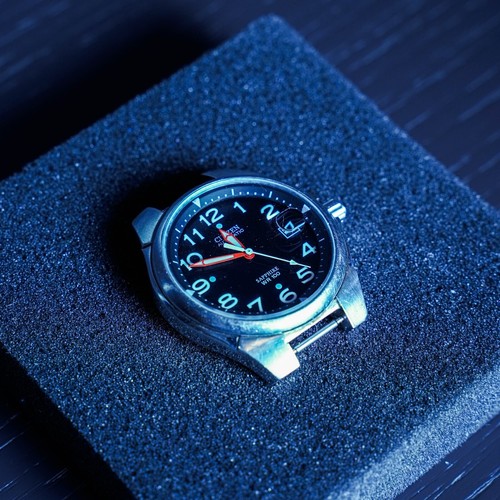 Citizen automatic pilot - citizen,