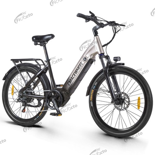 Bicicletta elettrica 25km/h