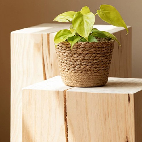 Vaso fiori per - vaso,