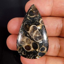 54.15Cts Pietra Gemma Cabochon