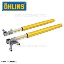 racing forcella oro OHLINS FGR