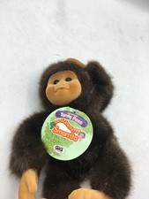 La scimmietta smartita gig